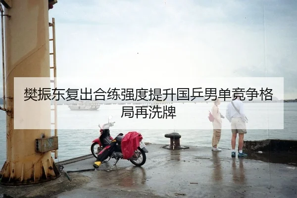 樊振东复出合练强度提升国乒男单竞争格局再洗牌